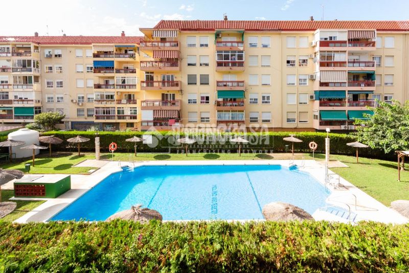 Foto 431a724b-8db3-43eb-83db-2bc8748a4278. Pis amb piscina a Hispanidad - Vivar Téllez Vélez - Málaga