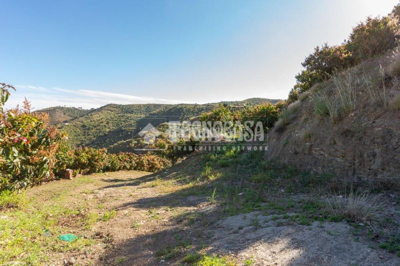 Foto 0371ce63-8350-4e7e-a0c8-51a4c3696545. Finca rústica a Norte - Barrio del Pilar - El Reñidero Vélez - Málaga