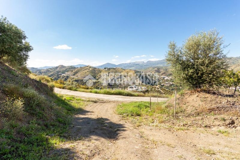 Foto 0b12ef78-4675-4b49-a01b-71ea8a3a7df7. Finca rústica a Norte - Barrio del Pilar - El Reñidero Vélez - Málaga