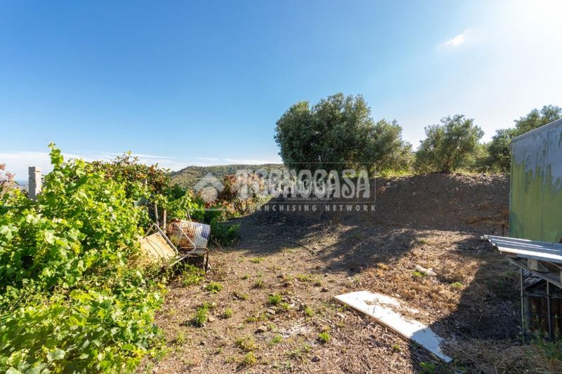 Foto 0b296841-fe77-42b5-8114-d8972c945a58. Finca rústica a Norte - Barrio del Pilar - El Reñidero Vélez - Málaga