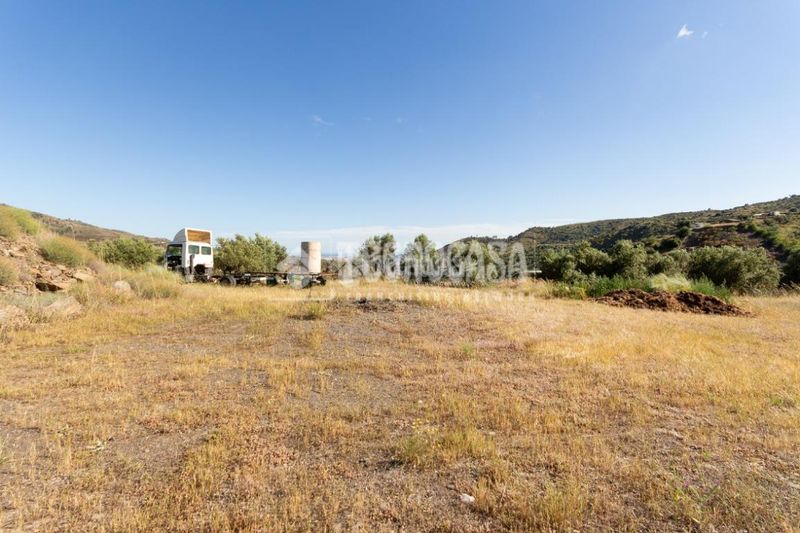 Foto 103997a8-67ef-4d7e-a585-bd98b4ab8d2e. Finca rústica a Norte - Barrio del Pilar - El Reñidero Vélez - Málaga