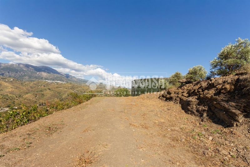 Foto 1e25a938-36bc-4435-b020-d202fe9f7df7. Finca rústica a Norte - Barrio del Pilar - El Reñidero Vélez - Málaga