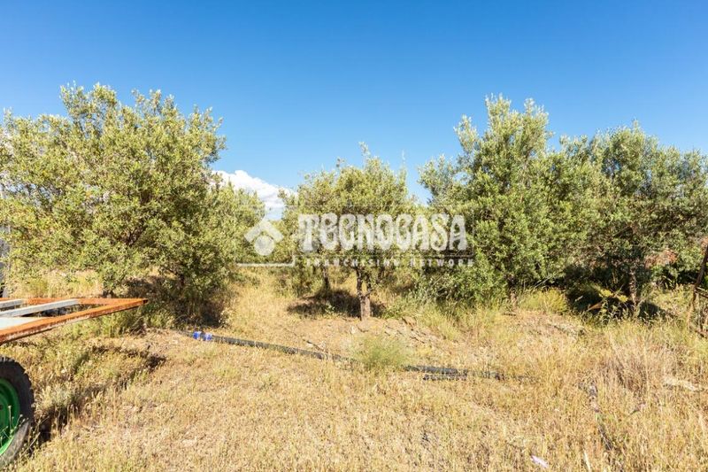 Foto 2232a484-b959-4c23-9770-489b6600e7f5. Finca rústica a Norte - Barrio del Pilar - El Reñidero Vélez - Málaga