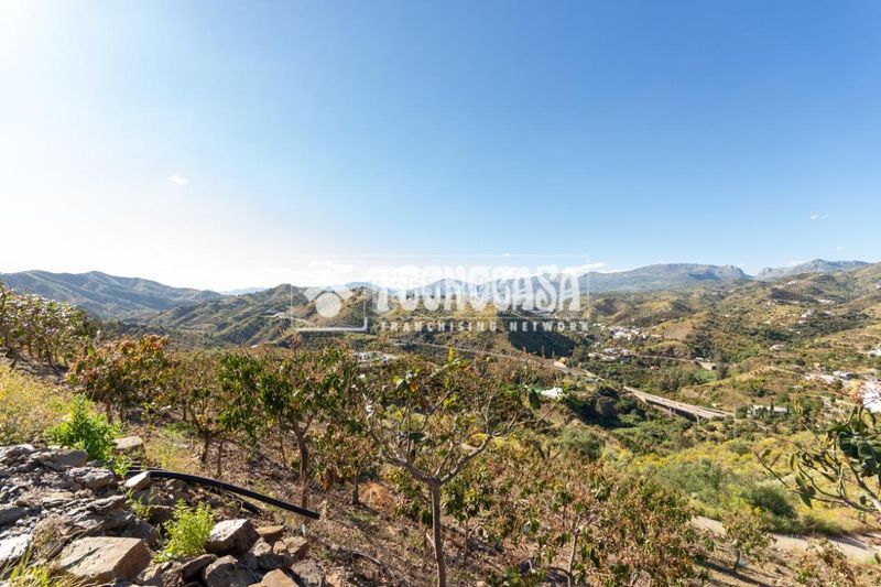 Foto 47f420b2-4026-447a-96cc-2bd14e96b65d. Finca rústica a Norte - Barrio del Pilar - El Reñidero Vélez - Málaga