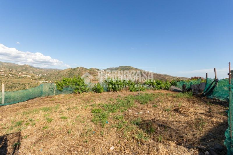Foto 62b1d363-49b3-42cd-b678-504aa1f1e09c. Finca rústica a Norte - Barrio del Pilar - El Reñidero Vélez - Málaga