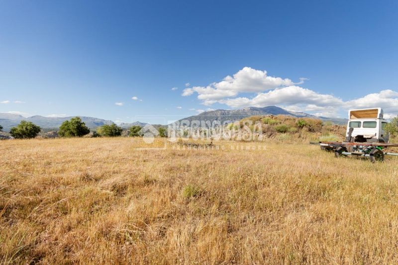 Foto 89d9f655-aff3-4500-9a66-bd916a7408e6. Finca rústica a Norte - Barrio del Pilar - El Reñidero Vélez - Málaga