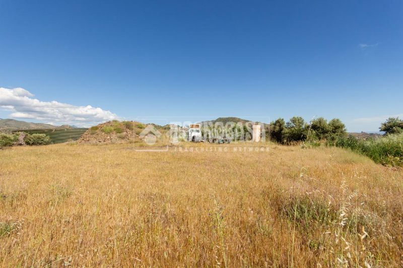 Foto 8fcfde84-d6b9-4b48-954a-556772819960. Finca rústica a Norte - Barrio del Pilar - El Reñidero Vélez - Málaga