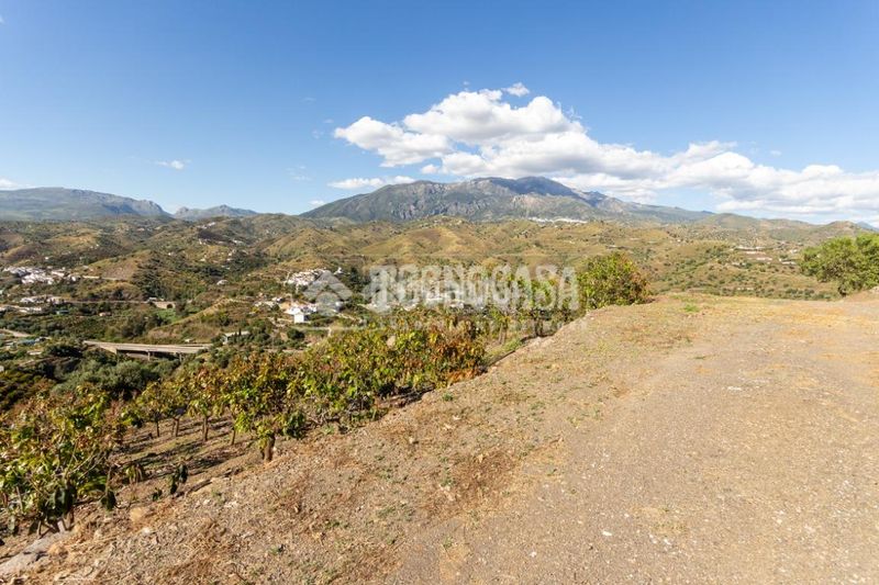 Foto 959158a1-0a39-4fd9-ae76-7057abae444f. Finca rústica a Norte - Barrio del Pilar - El Reñidero Vélez - Málaga