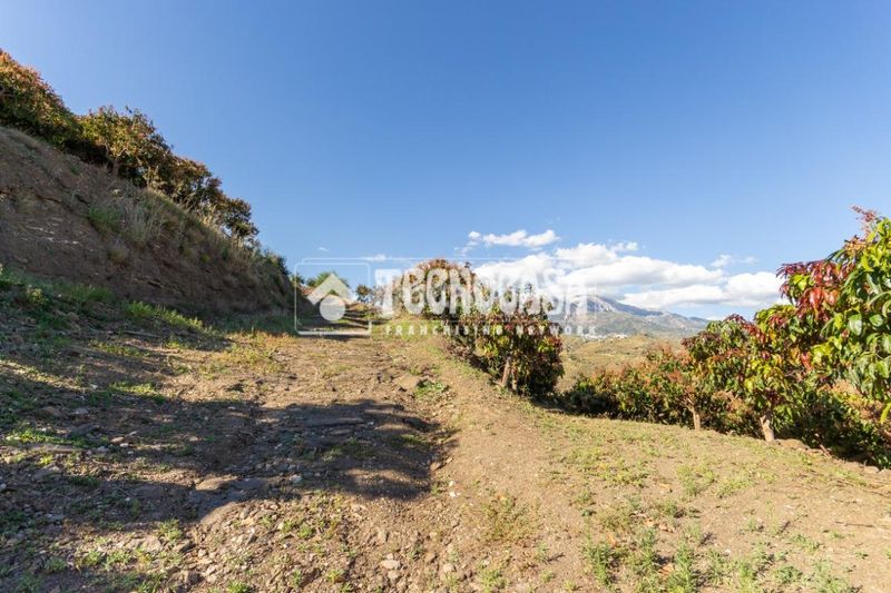 Foto b02da47d-c7ff-4898-bfbd-b646f00a2b76. Finca rústica a Norte - Barrio del Pilar - El Reñidero Vélez - Málaga