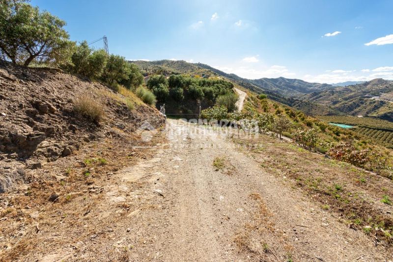 Foto b9155a14-ccf8-402d-919c-54fea55f2f17. Finca rústica a Norte - Barrio del Pilar - El Reñidero Vélez - Málaga