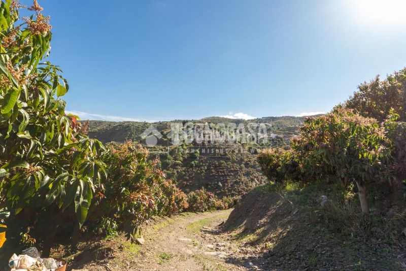 Foto bf14e9f7-0d23-449f-8865-ec11328fc4af. Finca rústica a Norte - Barrio del Pilar - El Reñidero Vélez - Málaga