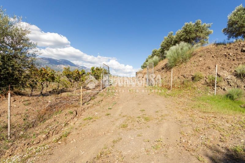 Foto c74f6b2a-4039-4c25-88b4-6d71d92530e5. Finca rústica a Norte - Barrio del Pilar - El Reñidero Vélez - Málaga