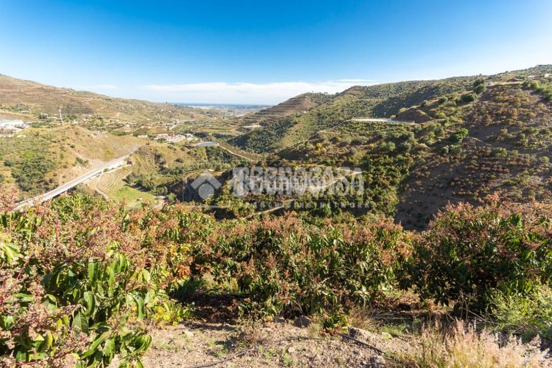 Foto d08417e7-6cd2-4bcd-974a-7dba11681916. Finca rústica a Norte - Barrio del Pilar - El Reñidero Vélez - Málaga
