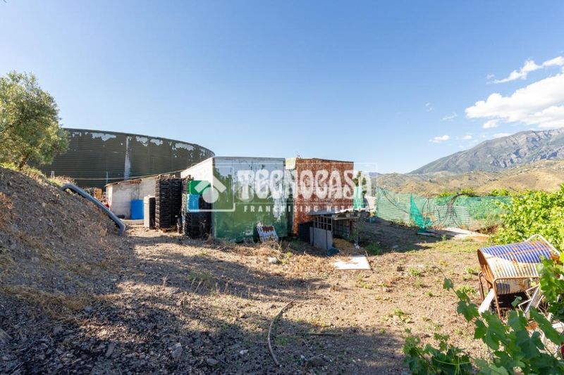 Foto dc86c688-9ad0-45a1-9142-cccd7159876e. Finca rústica a Norte - Barrio del Pilar - El Reñidero Vélez - Málaga