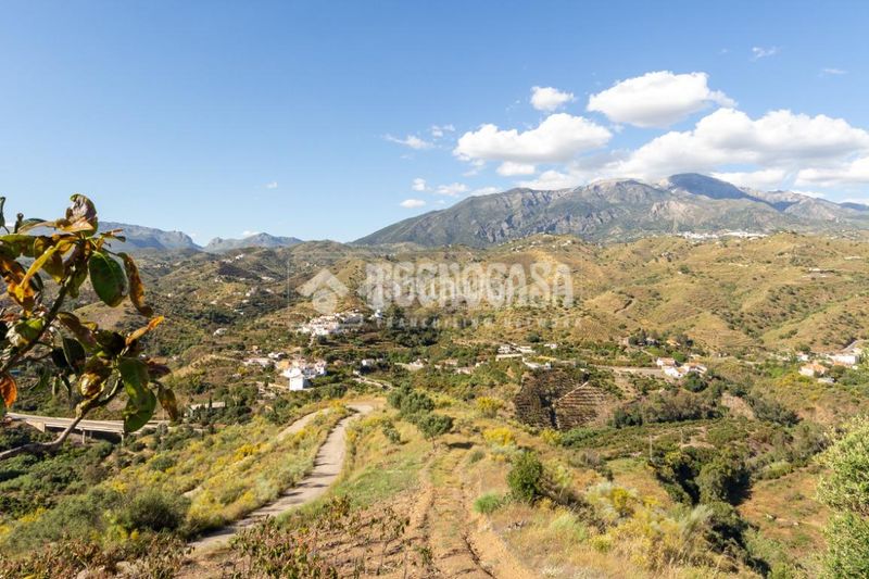 Foto df5258e6-1e1d-4710-80ba-dfd3299ae141. Finca rústica a Norte - Barrio del Pilar - El Reñidero Vélez - Málaga