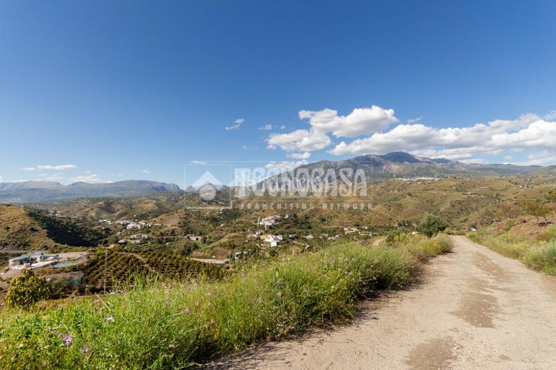 Foto e2c0a2b7-bbfc-4b9d-93ea-01dd9dc1f3fc. Finca rústica a Norte - Barrio del Pilar - El Reñidero Vélez - Málaga