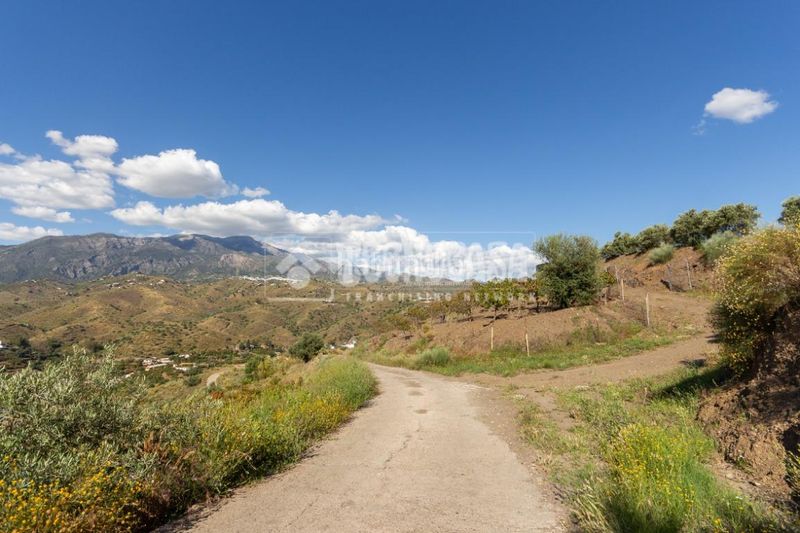 Foto e637d095-9991-4be3-a28a-ff71e40e37da. Finca rústica a Norte - Barrio del Pilar - El Reñidero Vélez - Málaga
