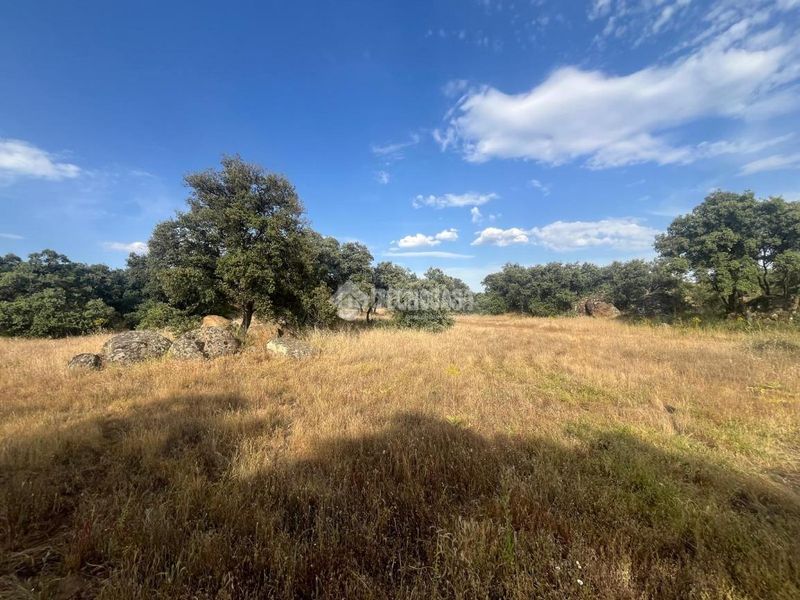 Foto 4e511c76-77ff-4ab7-8e42-b9c54879e5f5. Finca rústica a Santa Ana de Pusa