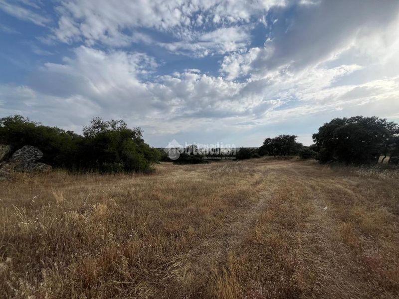 Foto a11af100-98ae-4f33-b04a-5a4c5648e5d0. Finca rústica a Santa Ana de Pusa