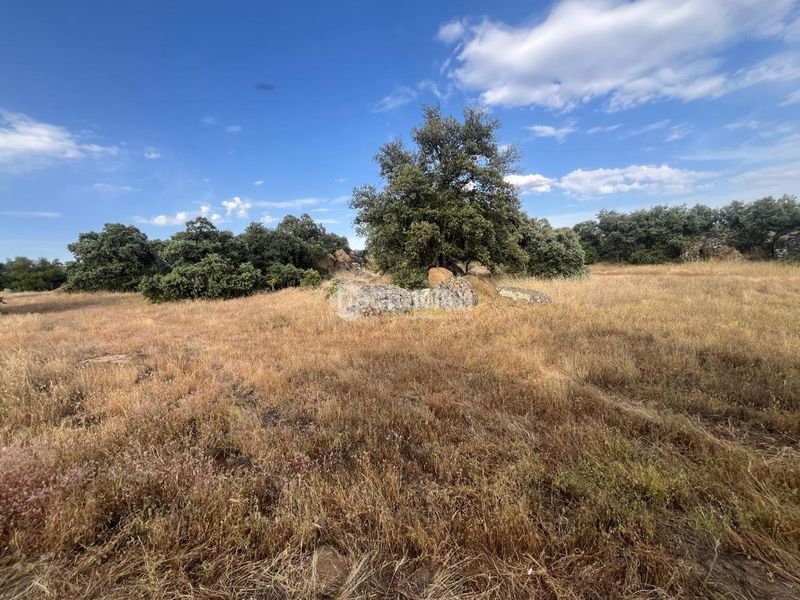 Foto a653a995-9705-4660-9fb9-5673576b33ea. Finca rústica a Santa Ana de Pusa