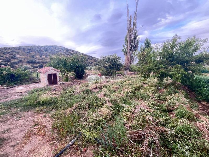 Foto a2318c3a-6c61-4807-a445-187ea51dc8a2. Casa amb calefacció a Navalmorales (Los)