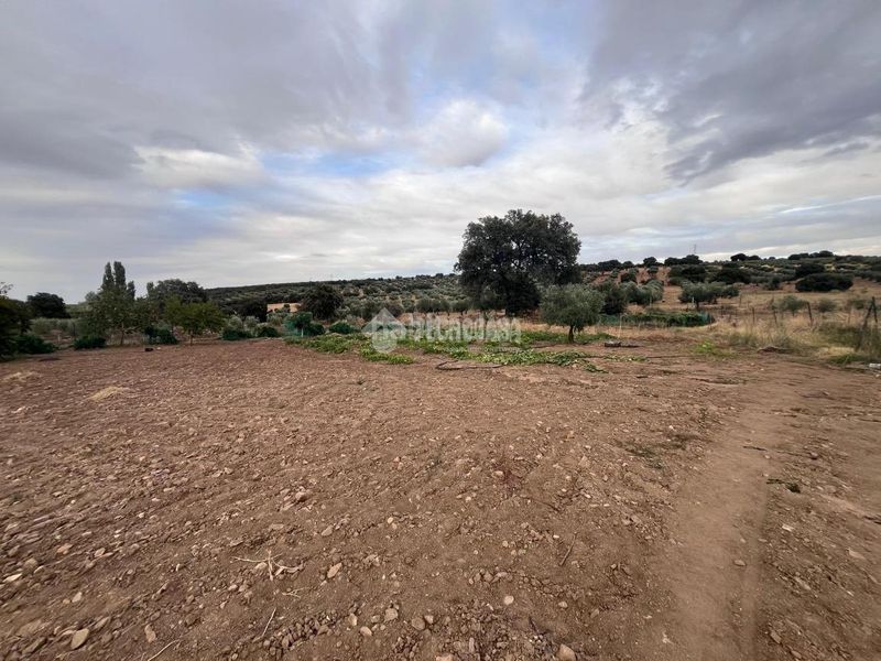 Foto fe5c8bc5-44d5-45e3-97fd-9911a0e4a604. Casa amb calefacció a Navalmorales (Los)