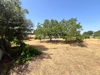 Landgut in El Pilar-La Estación. Terrenos en venta en talavera de la reina