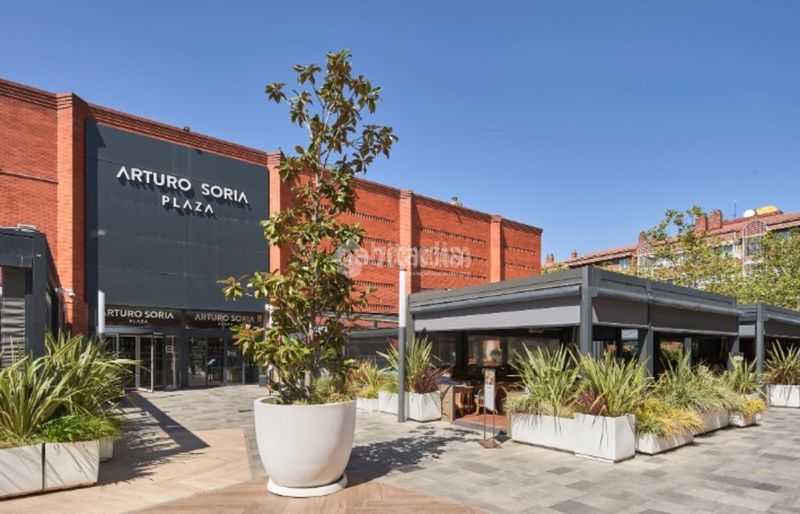 Foto ef3d42f2-7f8f-4bdf-8e38-e7c02359d44e. Estudi a Concepción Madrid