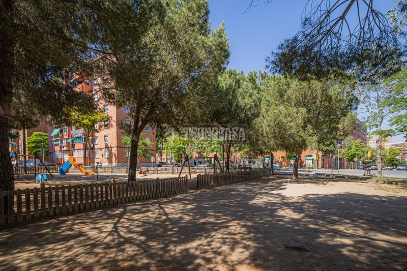 Foto 96cc4a00-512f-4fd0-a253-c8048638e6ff. Pis a La Roureda Sabadell