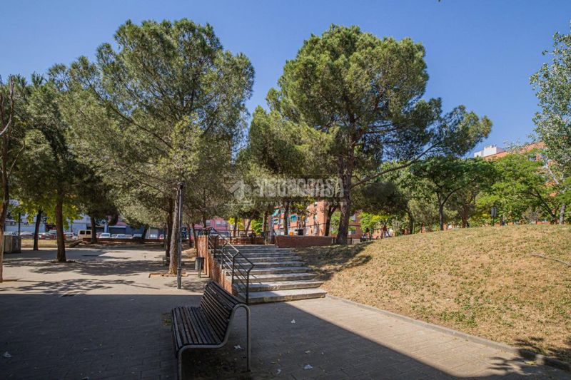 Foto a0bd401f-29b5-44c4-bd1c-111173dc9c2b. Pis a La Roureda Sabadell