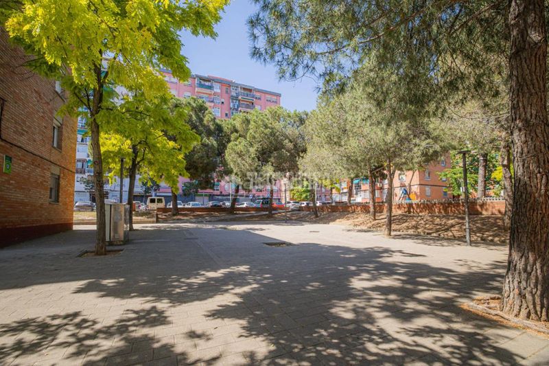 Foto e6439538-1012-4b83-8a4d-4158ed80bb51. Pis a La Roureda Sabadell