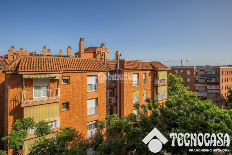 Foto d03d2ad0-4a11-4f1f-83f8-ad43b17af13e. Pis a La Roureda Viladecans