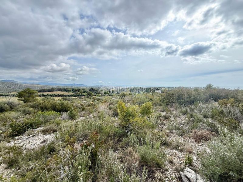 Foto 252920fa-a474-4ebc-88a7-834404ffff5f. Finca rústica a Barri de Mar Vilanova i la Geltrú