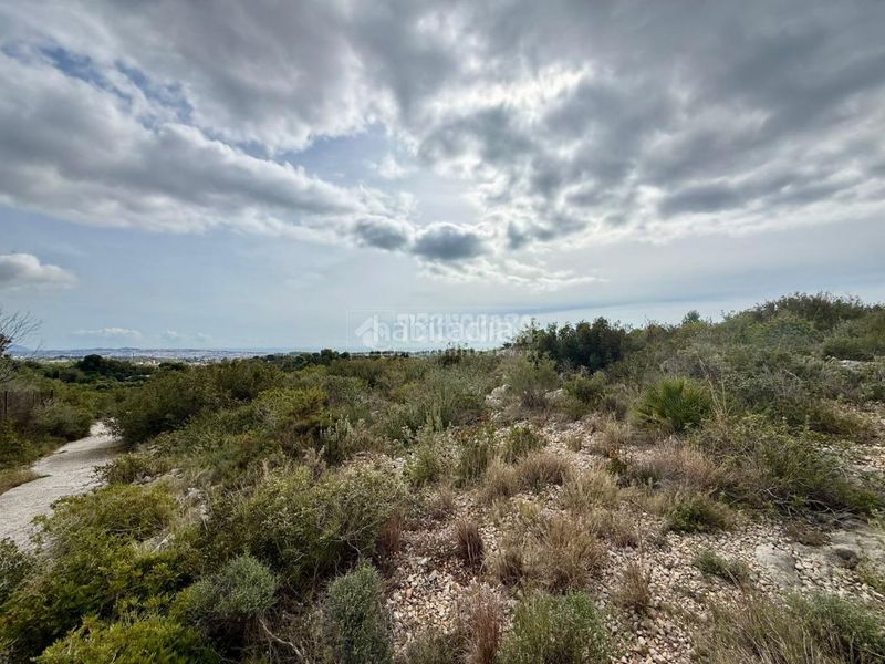 Foto 59ab8520-ad42-4dfa-9167-ab5f73d68020. Finca rústica a Barri de Mar Vilanova i la Geltrú