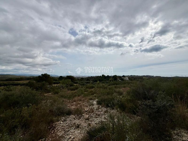 Foto 75afa8a0-b337-43c4-bd69-9b575bf09cdb. Finca rústica a Barri de Mar Vilanova i la Geltrú