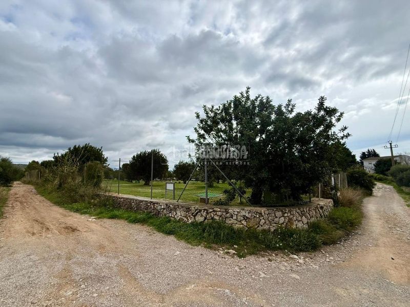 Foto 7f749190-9e57-4093-8d78-d32481ba8fc7. Finca rústica a Barri de Mar Vilanova i la Geltrú