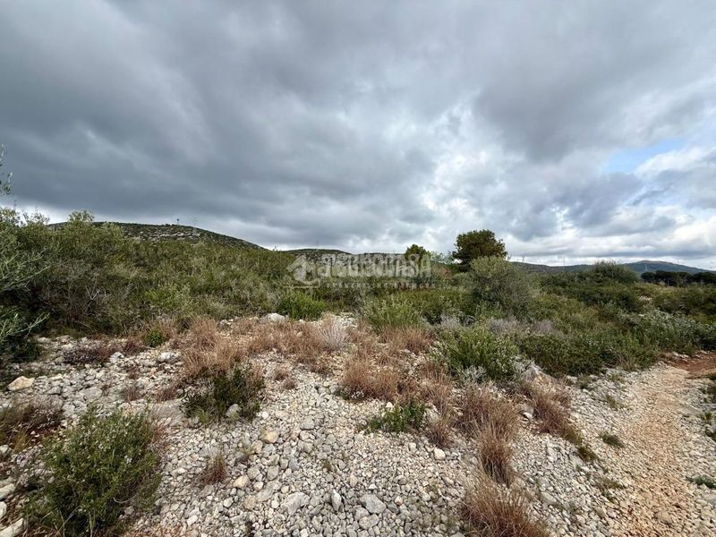 Foto a4b39164-e636-4ae3-9e78-10f5f8a7a00f. Finca rústica a Barri de Mar Vilanova i la Geltrú