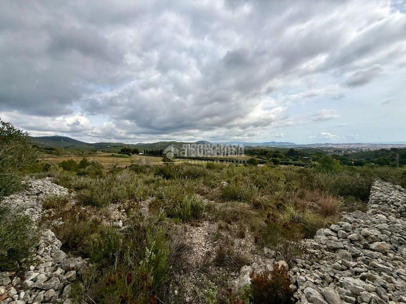 Foto d3ab9e1a-6598-4a19-929f-c18dbdfaeccd. Finca rústica a Barri de Mar Vilanova i la Geltrú