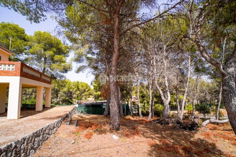 Foto 4f5881b2-bdb0-48fb-b44d-31d949369712. Masia a La Collada-Sis Camins Vilanova i la Geltrú