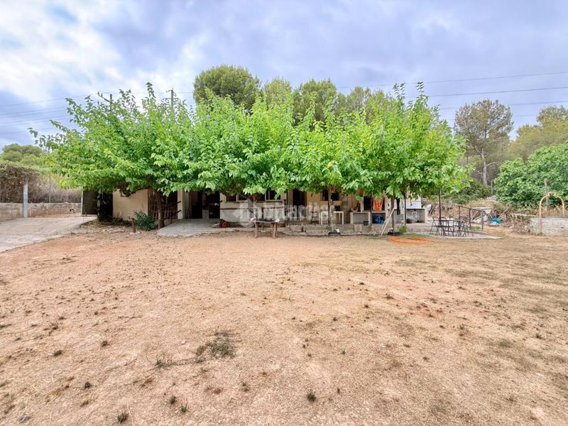 Foto 7a1ec69a-7729-4422-a5f2-eb6b162084d3. Masia a Nord Vilanova i la Geltrú