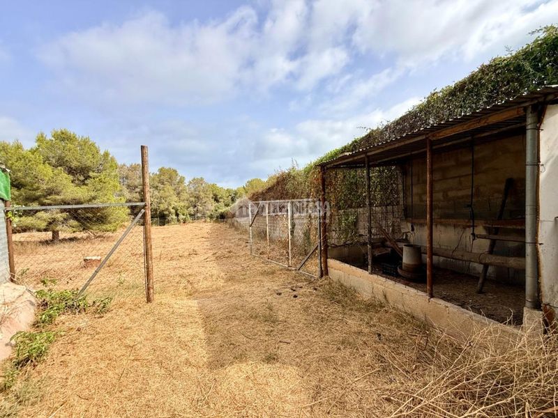 Foto a4120e0b-124d-46ed-b5cd-a6b7e7fc2120. Masia a Nord Vilanova i la Geltrú