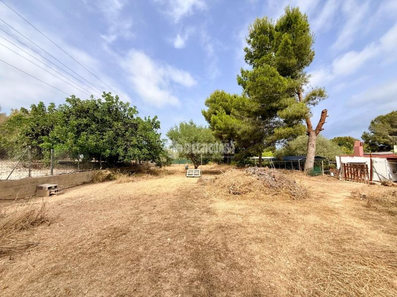 Foto e068149f-3532-4ec0-8719-8cac70183ab7. Masia a Nord Vilanova i la Geltrú
