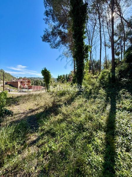 Foto 109afb35-4bff-4dff-8008-376392d5222d. Terreny residencial a Canyelles