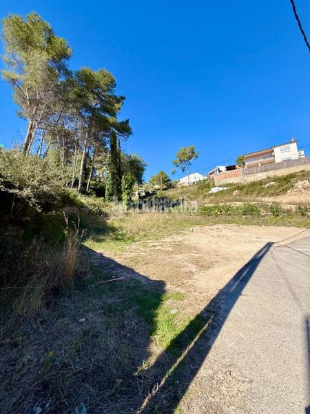 Foto 1e67dd67-c82d-4ae5-a2ae-94657e7674bc. Terreny residencial a Canyelles