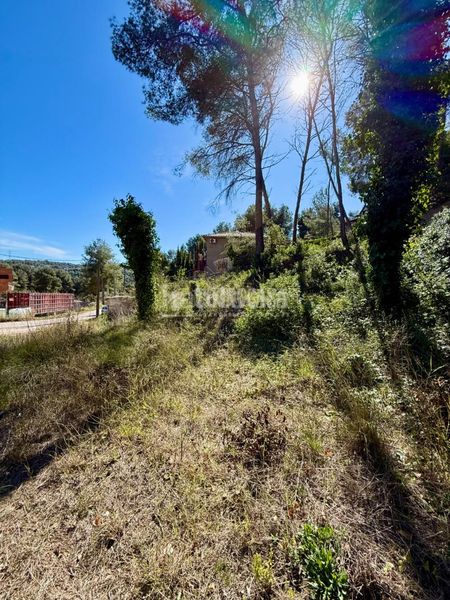 Foto 3011dbbf-c9ee-4234-bf11-608e37a2a6fd. Terreny residencial a Canyelles