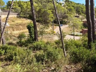 Terreno residencial en Canyelles. Terrenos en venta en canyelles