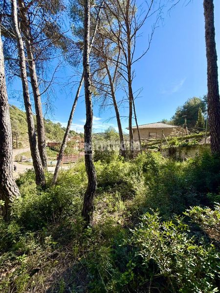Foto 5fb2e7fe-9604-49d0-894b-0e6e74812330. Terreny residencial a Canyelles