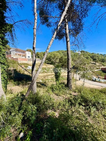 Foto ec8db6e4-7fbc-41c7-b939-eaf244850122. Terreny residencial a Canyelles