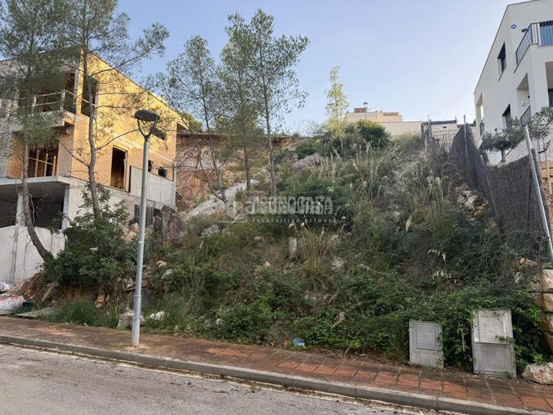 Foto 9377fb27-6429-4566-b64c-a65937fb560f. Terreny residencial a Mas Alba Sant Pere de Ribes