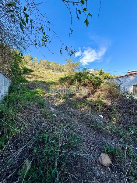 Foto d13ca59d-7ee4-4d3e-bc2c-1ea192096f05. Terreny residencial a Canyelles